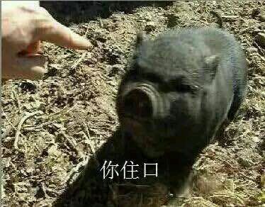 厉害微信恶搞斗图表情包