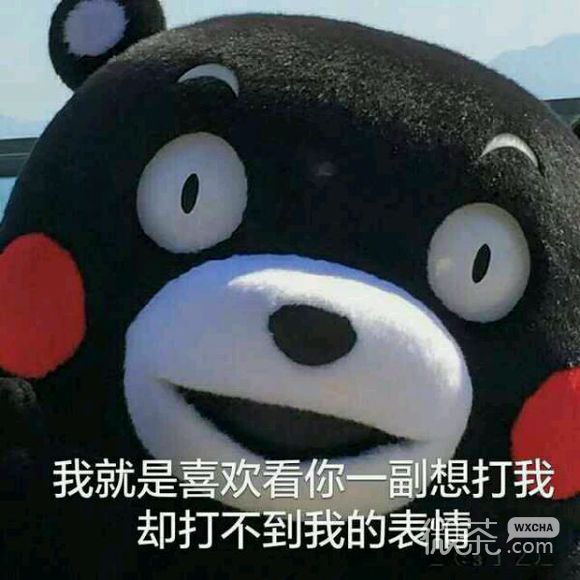 微信恶搞小仙女斗图表情包