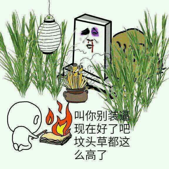 天呐微信恶搞傻屌斗图表情包