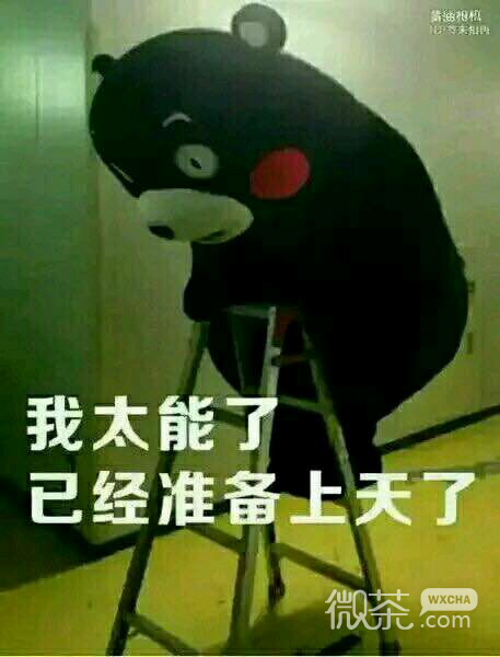 微信恶搞小仙女斗图表情包