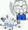 搞怪猥琐猫傻屌斗图微信表情包