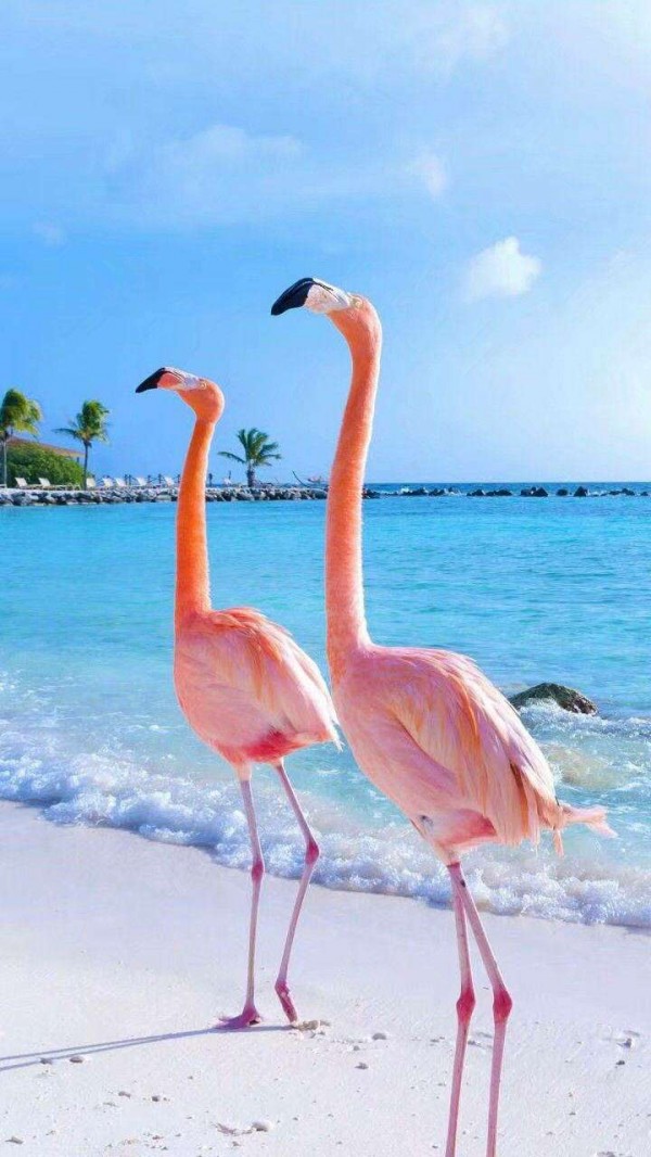 微信唯美高清风景聊天背景