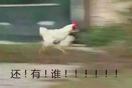 天呐微信恶搞傻屌斗图表情包