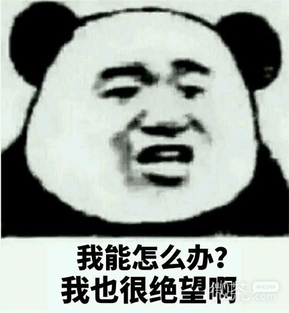 厉害微信恶搞斗图表情包