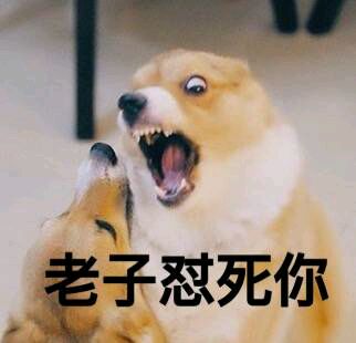 呸微信恶搞傻屌斗图表情包