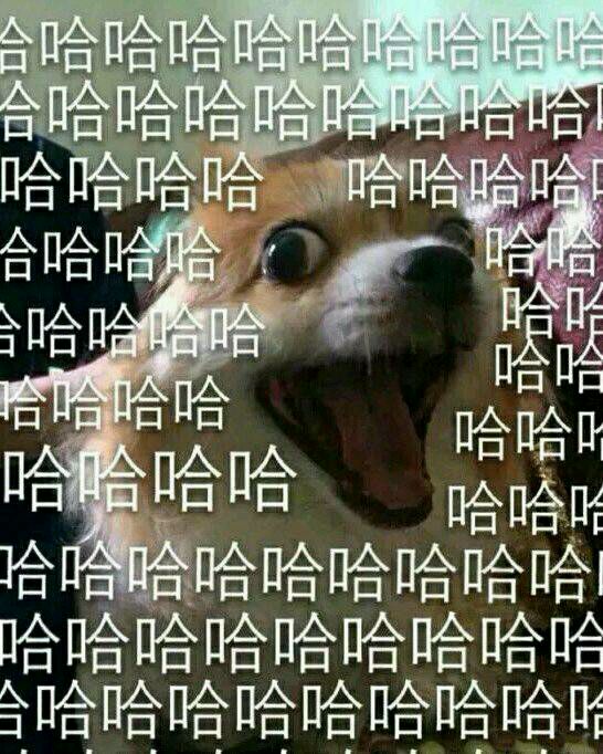 天呐微信恶搞傻屌斗图表情包