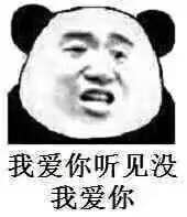 死不承认微信恶搞傻屌斗图表情包