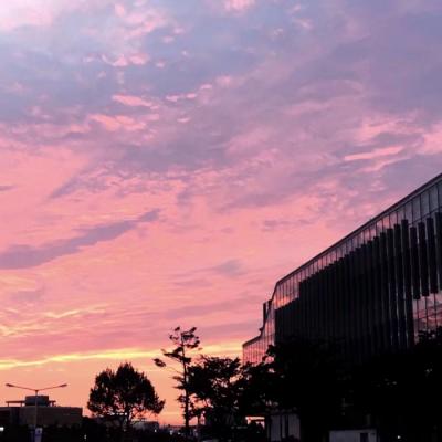 微信粉嫩清新好看风景头像