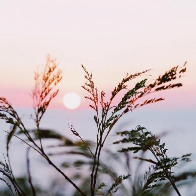 微信粉嫩清新好看风景头像