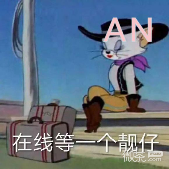 微信爆笑恶搞淫贼金馆长表情包合集下载