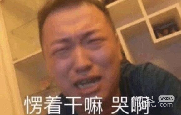 微信调皮搞怪傻屌斗图表情包