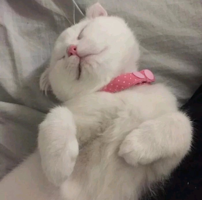 微信甜蜜稳重情侣头像