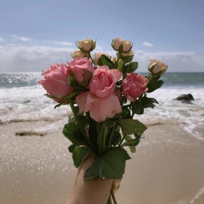 微信粉嫩清新好看风景头像