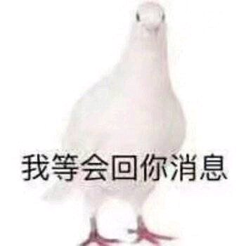 微信调皮搞怪傻屌斗图表情包