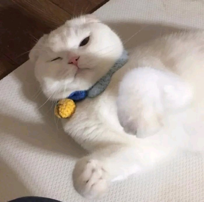 微信甜蜜稳重情侣头像