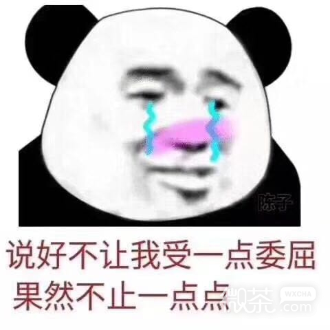 药店碧莲微信恶搞傻屌斗图表情包