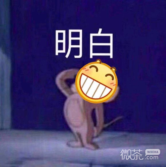 微信调皮搞怪傻屌斗图表情包