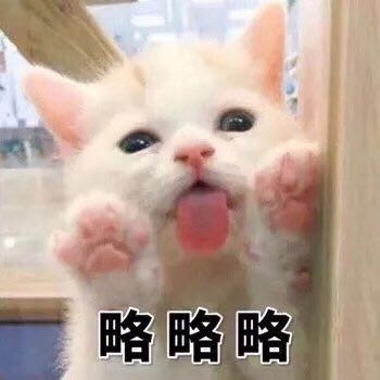 排面微信恶搞斗图微信表情包