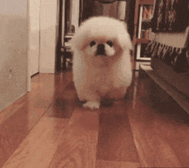 排面微信恶搞斗图微信表情包