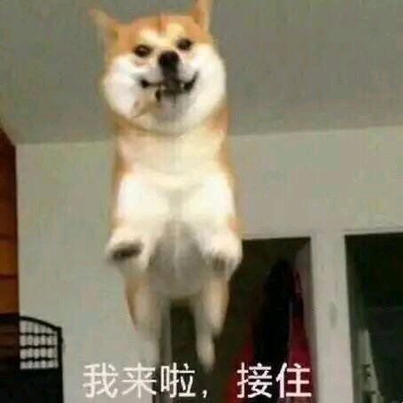 微信近期斗图恶搞表情包2019/4/1（二）