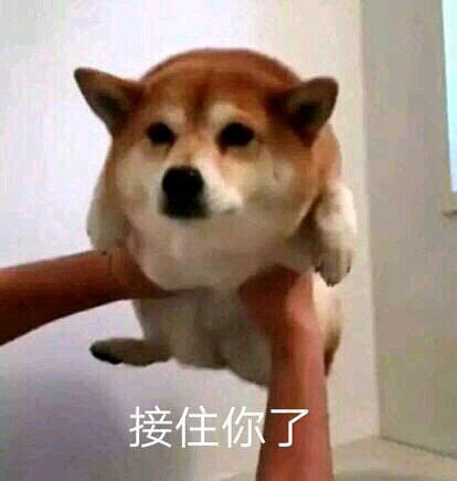 微信近期斗图恶搞表情包2019/4/1（二）