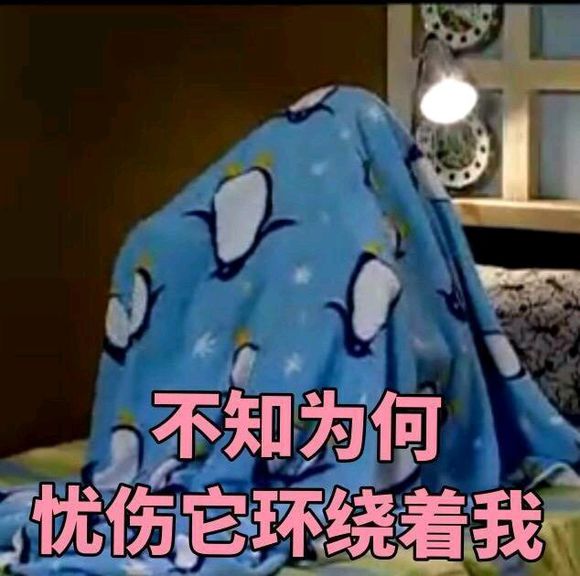 呼叫老阿姨微信恶搞斗图表情包