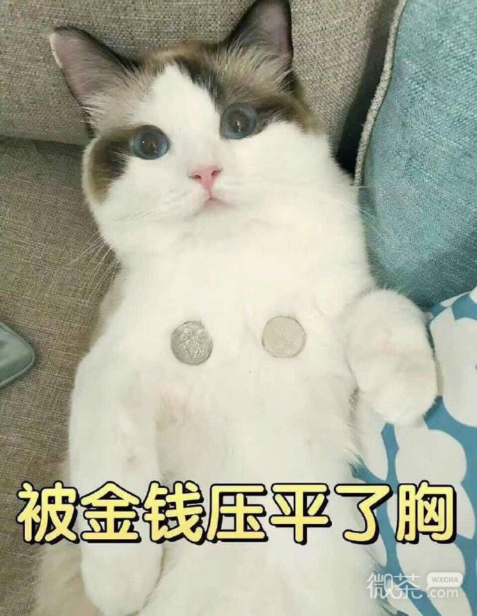 微信近期斗图恶搞表情包2019/4/1（二）