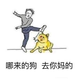 微信近期斗图恶搞表情包2019/4/1（二）