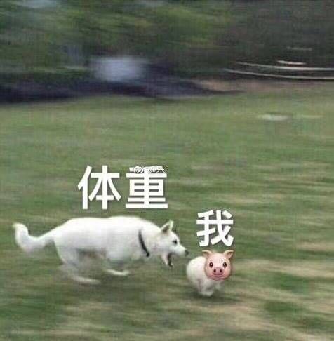 微信近期斗图恶搞表情包2019/4/1（二）