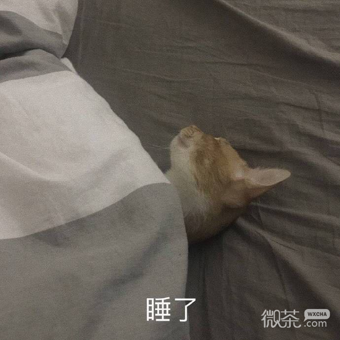 微信近期斗图恶搞表情包2019/4/1（二）