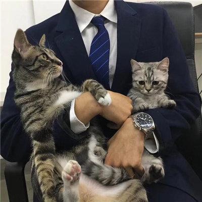微信超拽社会男生头像