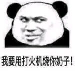 呼叫老阿姨微信恶搞斗图表情包