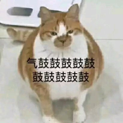 呼叫老阿姨微信恶搞斗图表情包