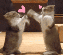 微信近期斗图恶搞表情包2019/4/1（二）