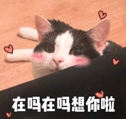 撤回微信搞怪傻屌斗图表情包