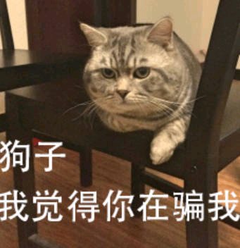 头大微信恶搞傻屌斗图表情包