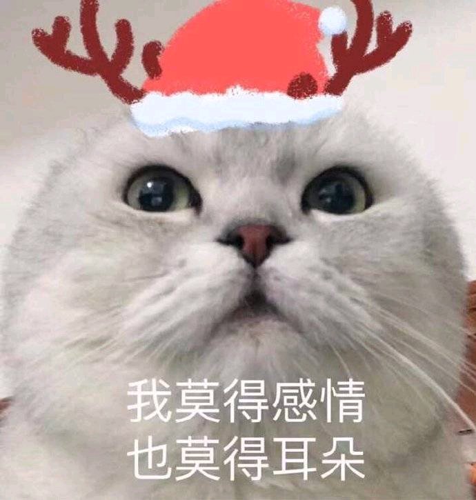 撤回微信搞怪傻屌斗图表情包