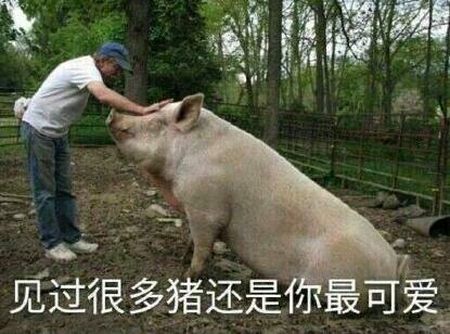 撤回微信搞怪傻屌斗图表情包