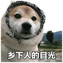 头大微信恶搞傻屌斗图表情包