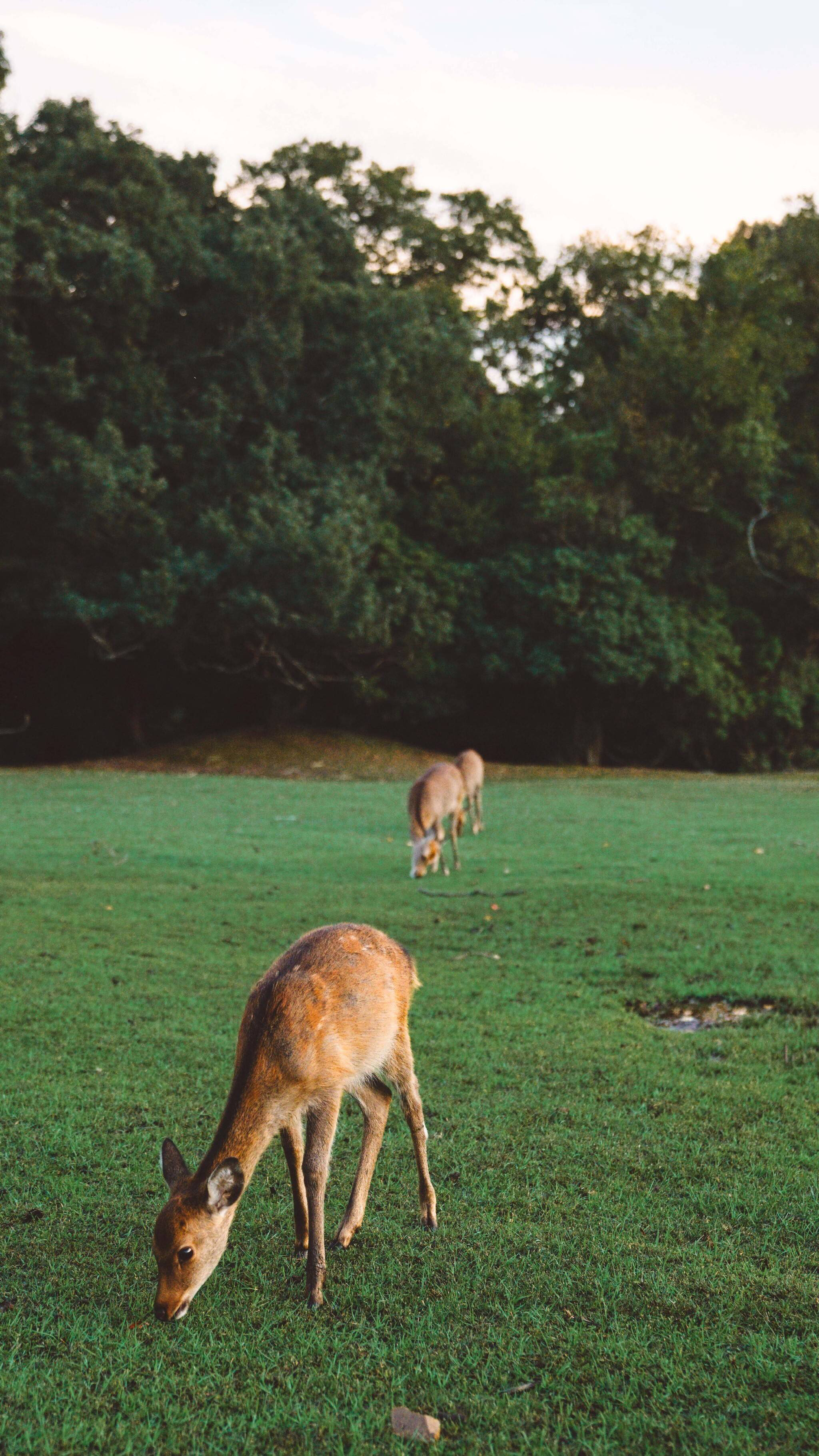 画风很赞的漫画男生微信个性美图下载