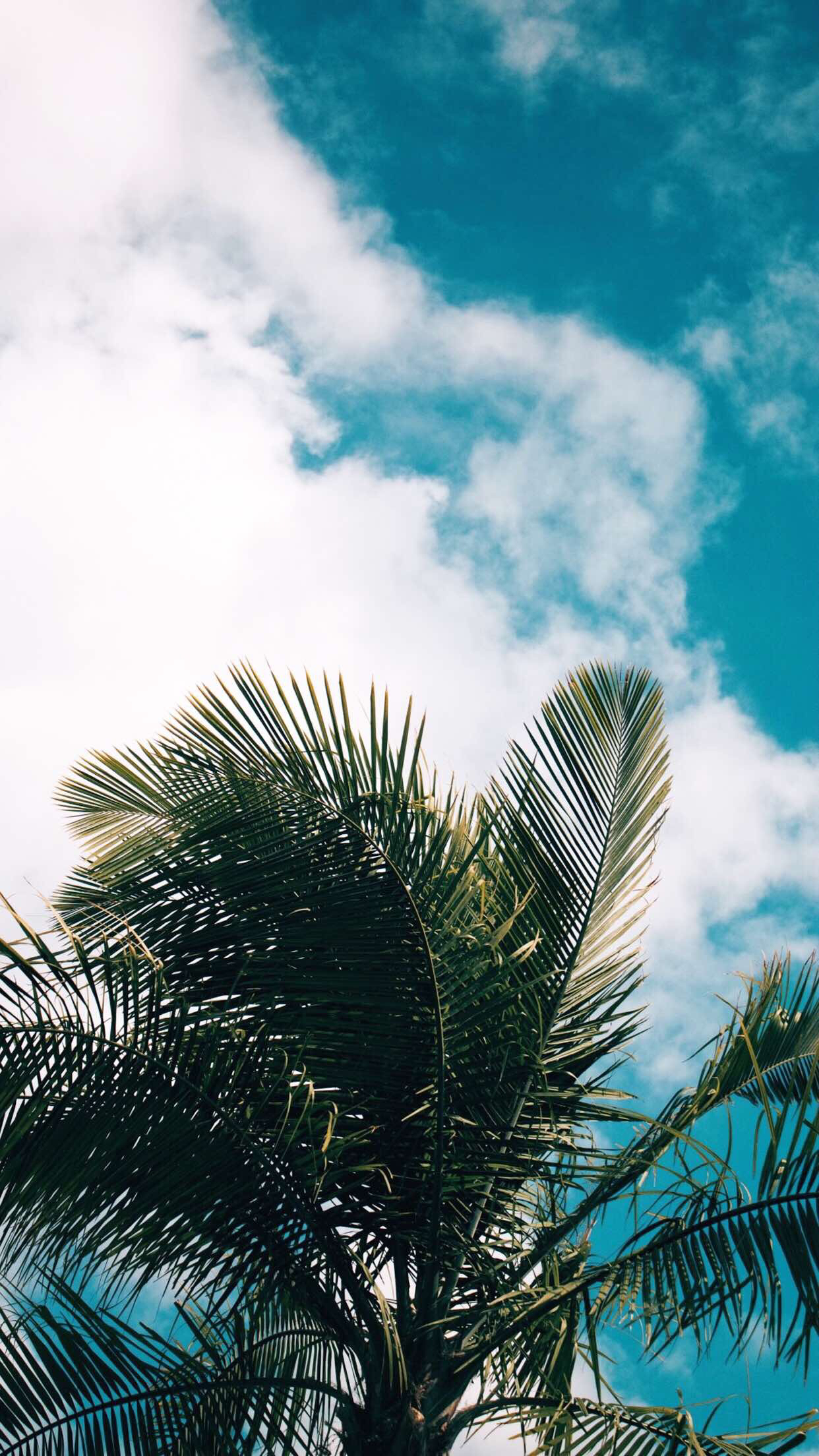 画风很赞的漫画男生微信个性美图下载