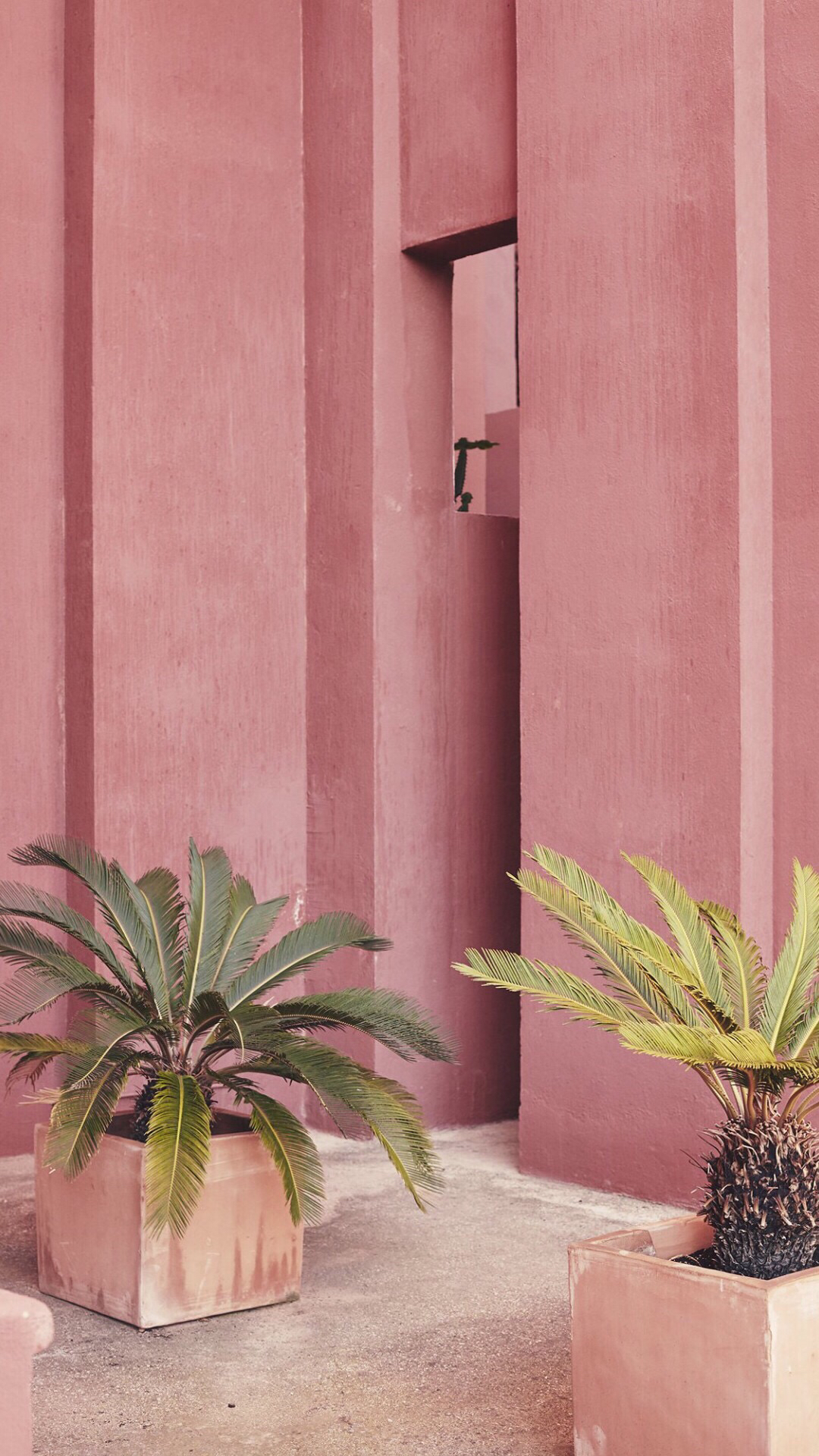 画风很赞的漫画男生微信个性美图下载