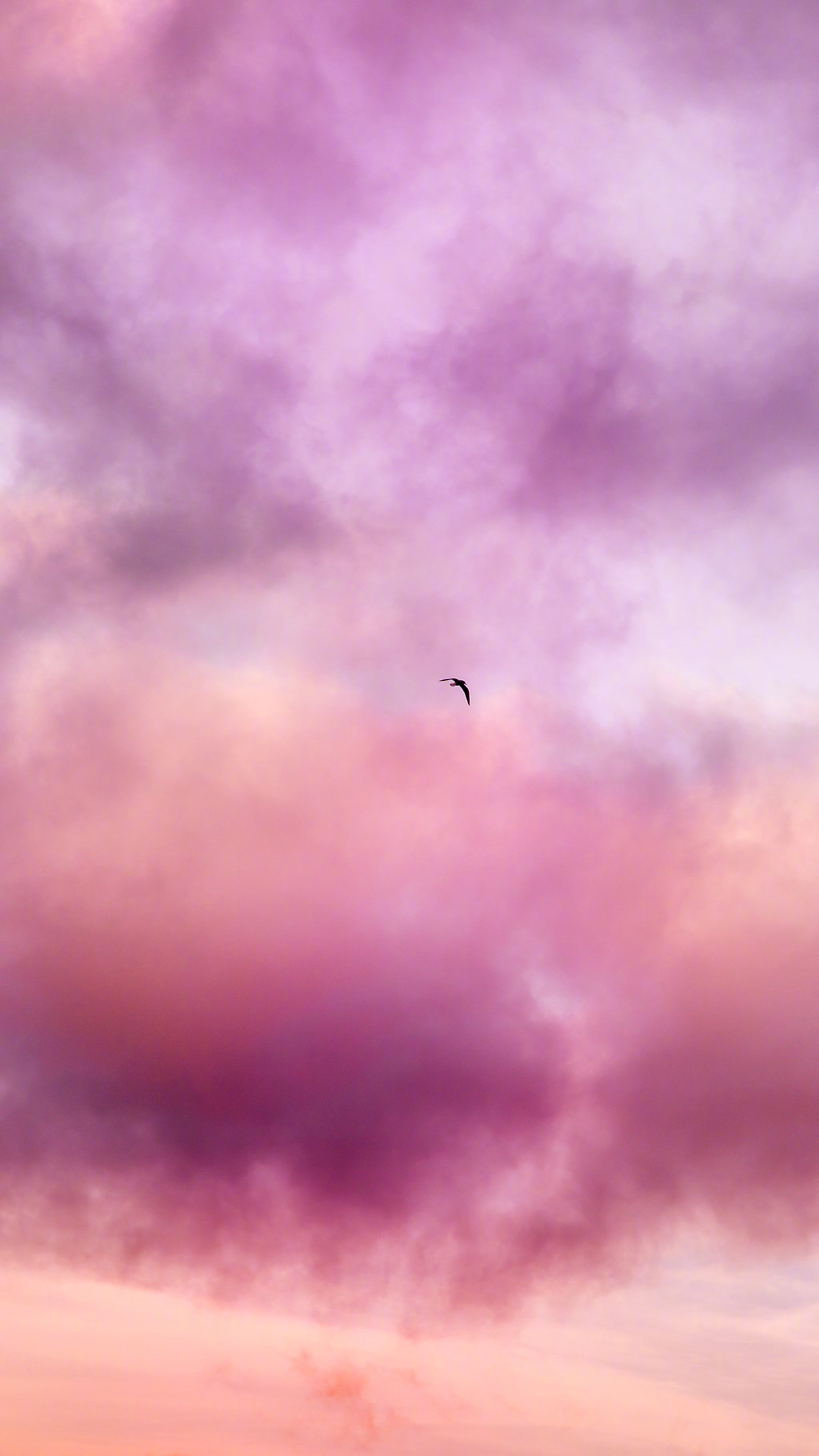 画风很赞的漫画男生微信个性美图下载