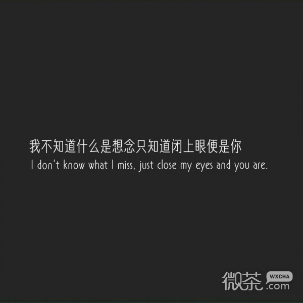 微信中英双语爱情伤感文字图片
