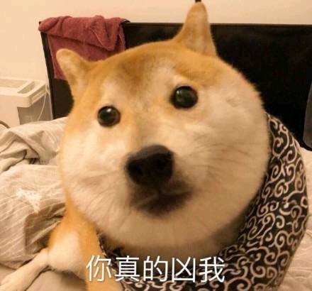 撤回微信搞怪傻屌斗图表情包