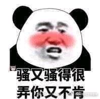 撤回微信搞怪傻屌斗图表情包