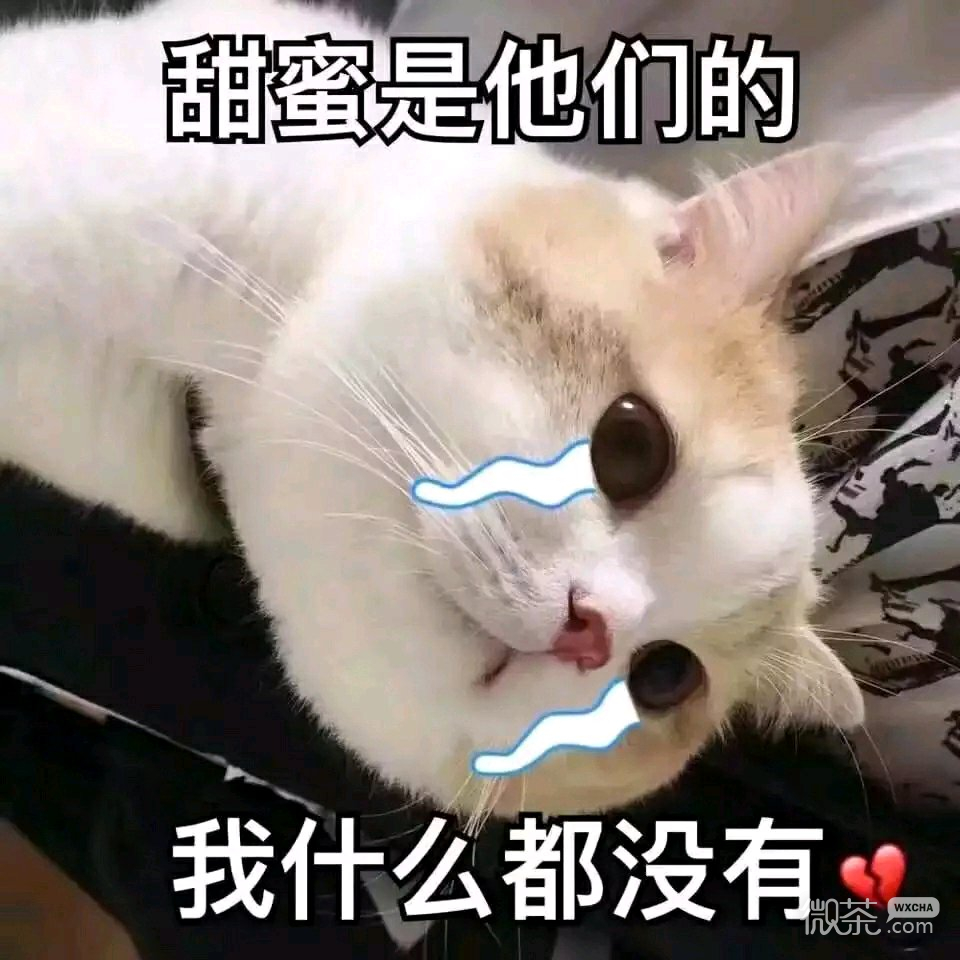 微信近期斗图恶搞表情包2019/4/2
