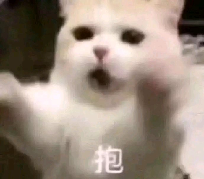 随缘微信恶搞傻屌斗图表情包