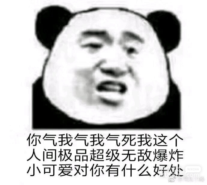 太不是人了微信恶搞傻屌斗图表情包