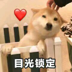 太不是人了微信恶搞傻屌斗图表情包